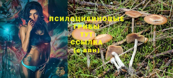 амф Горно-Алтайск