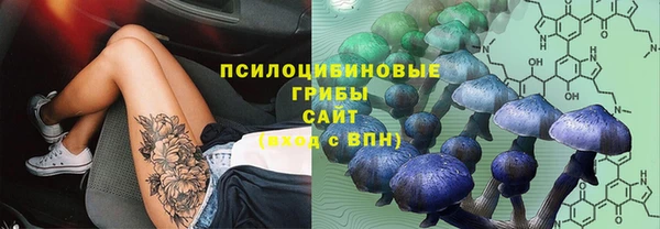 амф Горно-Алтайск