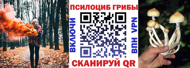 Псилоцибиновые грибы GOLDEN TEACHER  omg   Кимры 